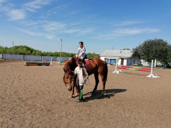 Юные получатели соцуслуг КЦСОН «Берег Надежды» посетили конноспортивную школу «Фаворит»