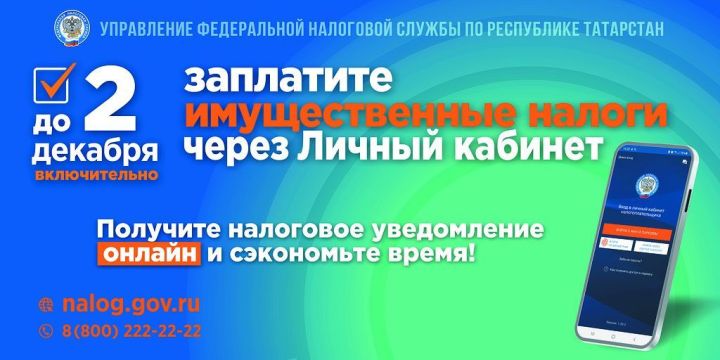 Календарь налогоплательщика 2024: сроки уплаты налогов