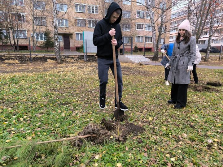 На территории Татарской гимназии «Мирас» открыли Аллею Памяти