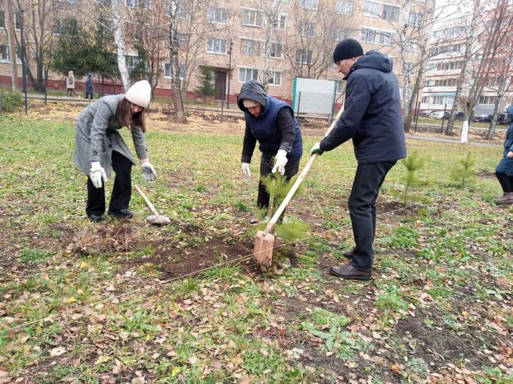 На территории Татарской гимназии «Мирас» открыли Аллею Памяти