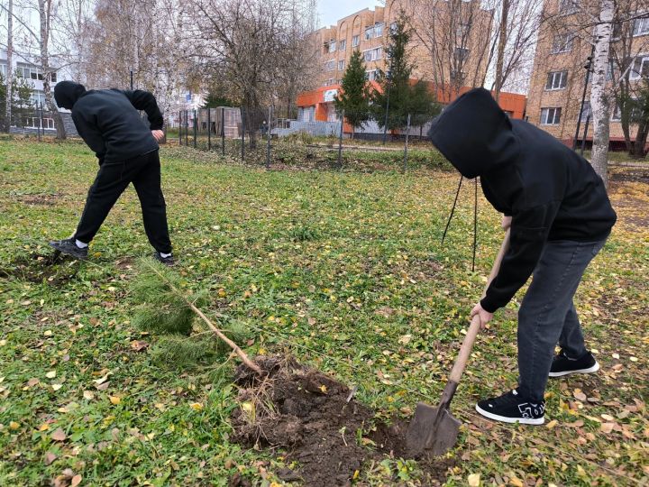 На территории Татарской гимназии «Мирас» открыли Аллею Памяти