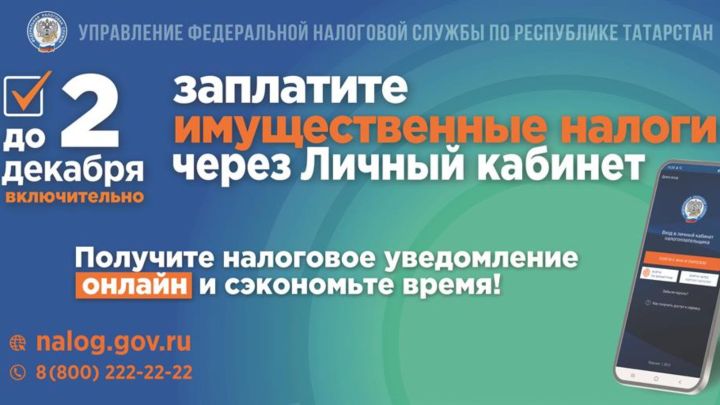 До 2 декабря 2024 года менделеевцам нужно уплатить налоги на имущество