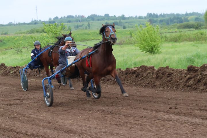 В Менделеевске в рамках Сабантуя провели зрелищные конные скачки