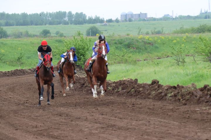 В Менделеевске в рамках Сабантуя провели зрелищные конные скачки