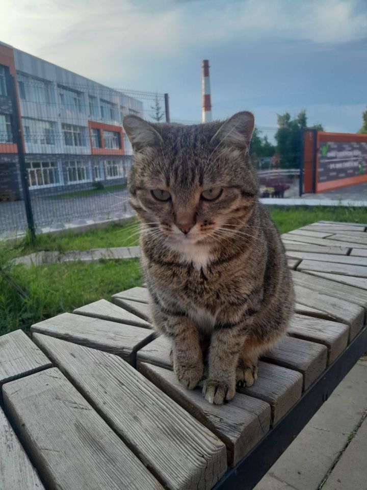 26 июня в Менделеевске ожидаются дожди