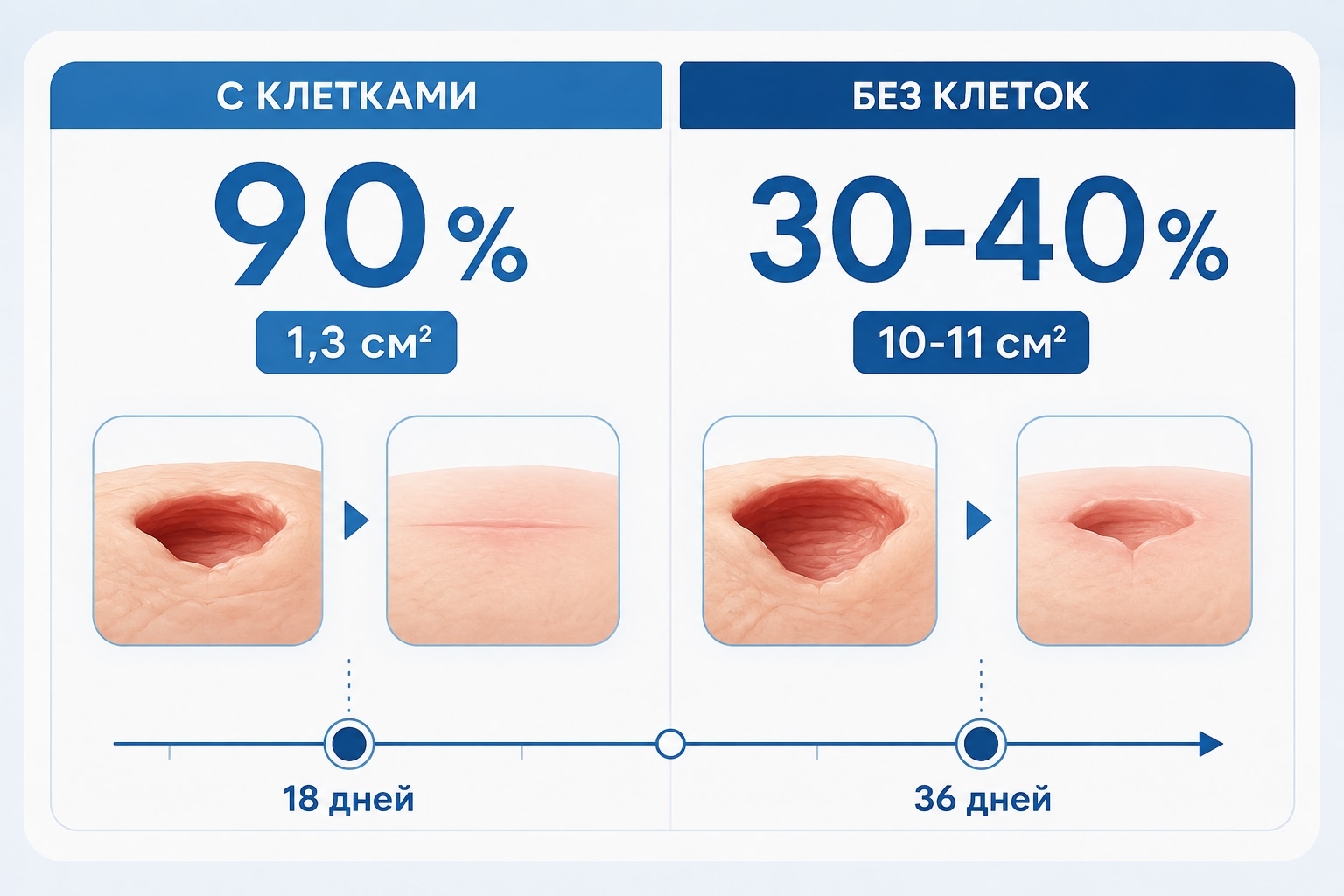 Инфографика сравнения заживления ран