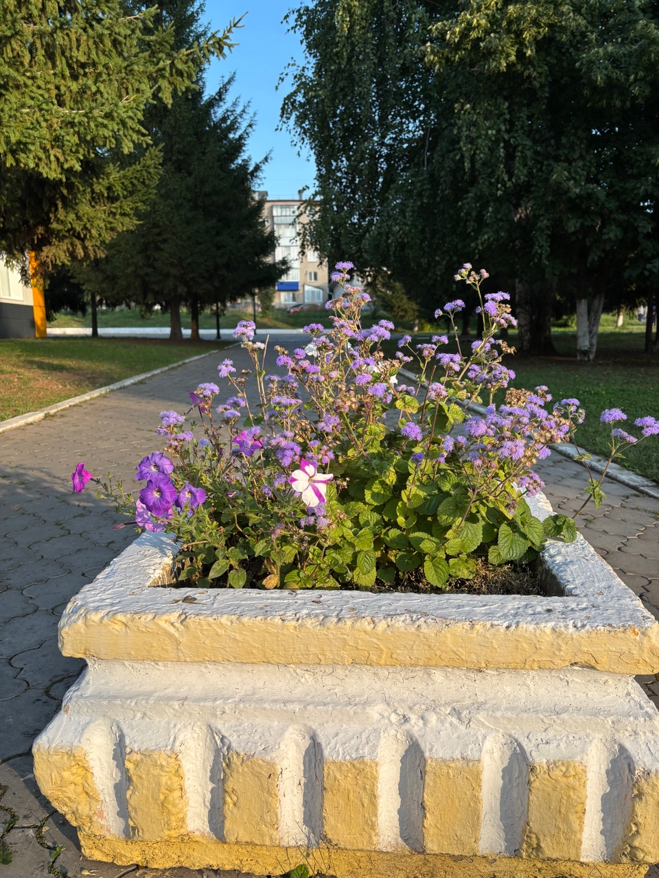 Цветочная клумба в Менделеевске