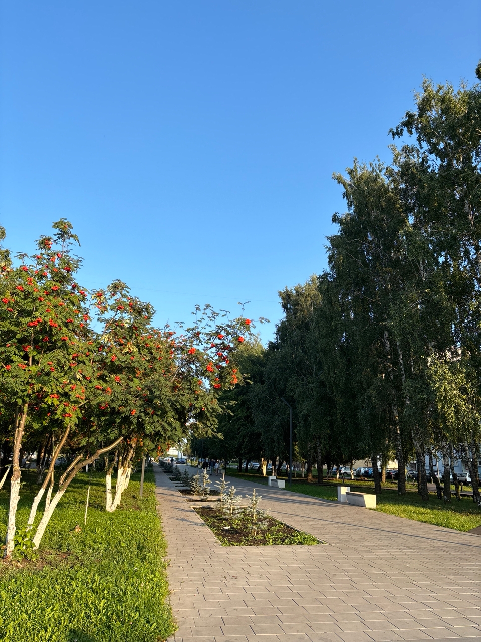 Аллея Славы в Менделеевске