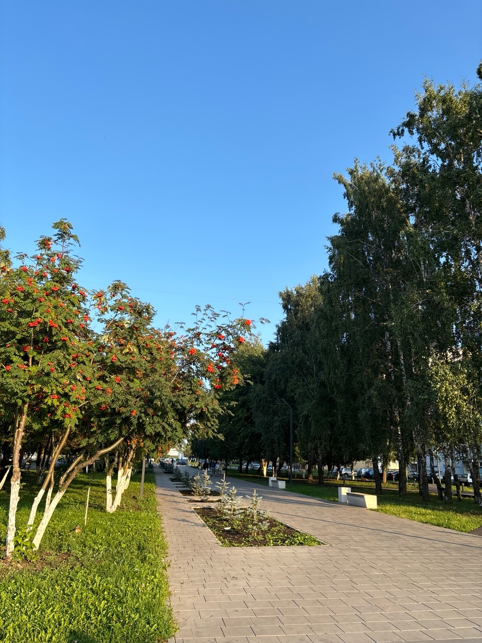 Аллея Славы в Менделеевске