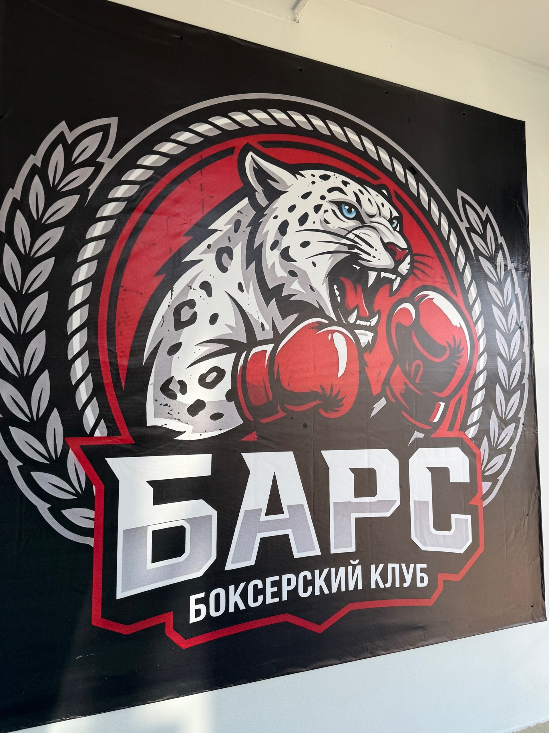 Новая школа бокса в Менделеевске
