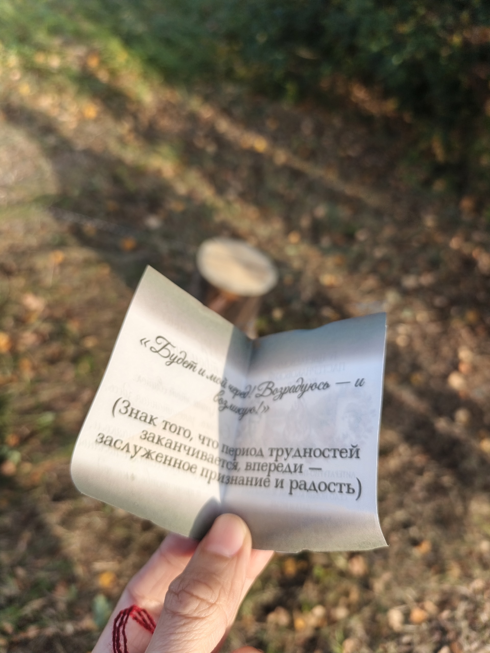 Гадание на Цветаевско-Пастернаковском костре