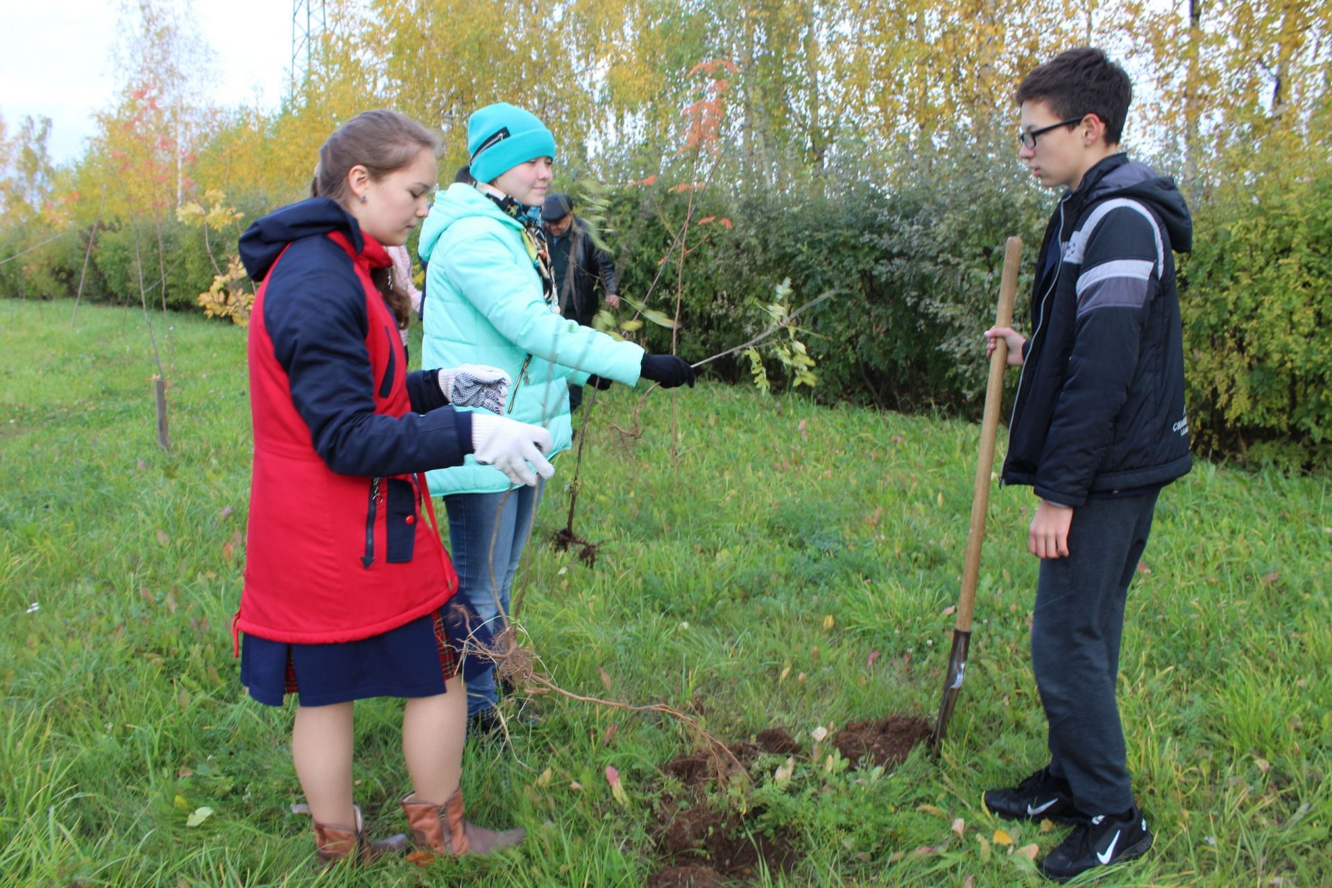 «Посади своё дерево»: в рамках экоакции в Менделеевске высадили более 700 деревьев