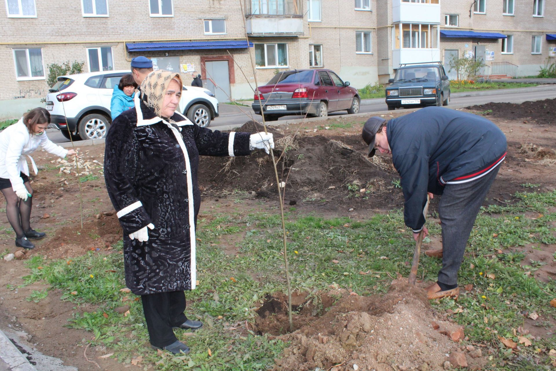«Посади своё дерево»: в рамках экоакции в Менделеевске высадили более 700 деревьев