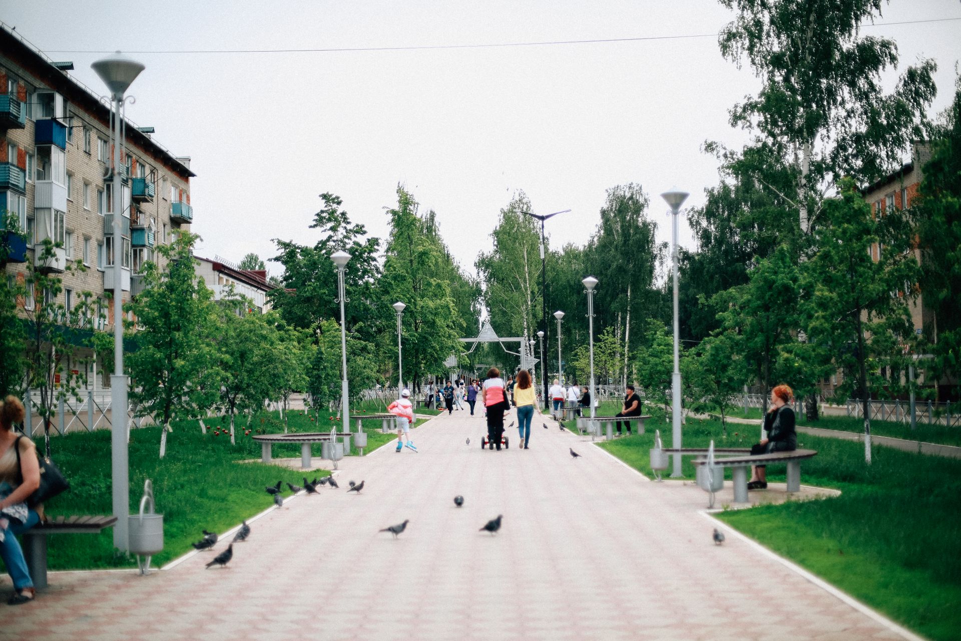 Нея улицы. Город Менделеевск аллеи. Менделеевск улицы города. Улица Лесная в городе Менделеевск. Долгодеревенское улица 1 мая.