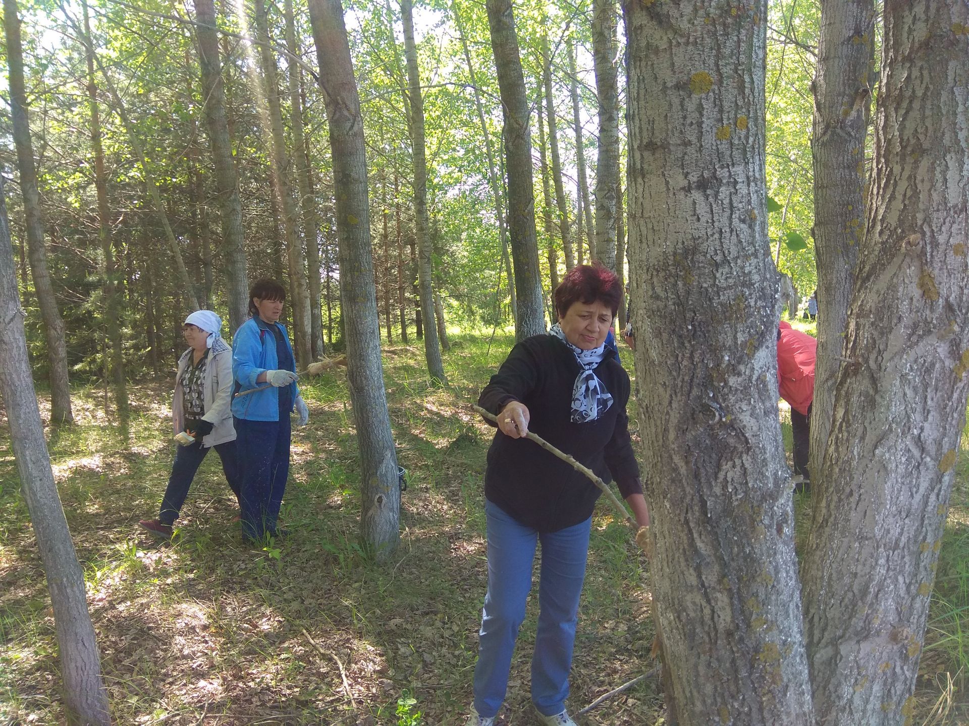 Фоторепортаж: менделеевцы побелили деревья на субботнике