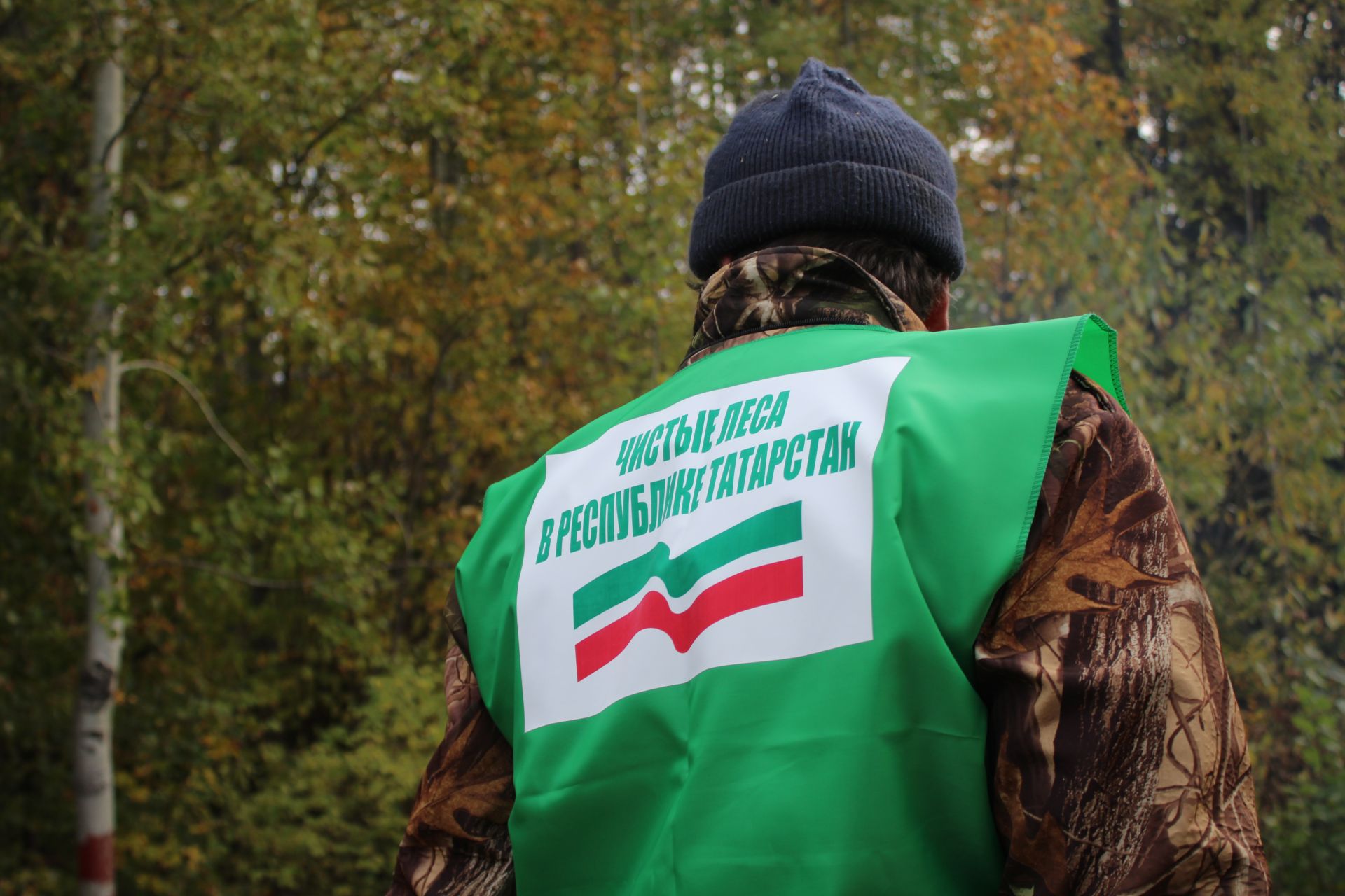 Министерство лесного хозяйства Республики Татарстан