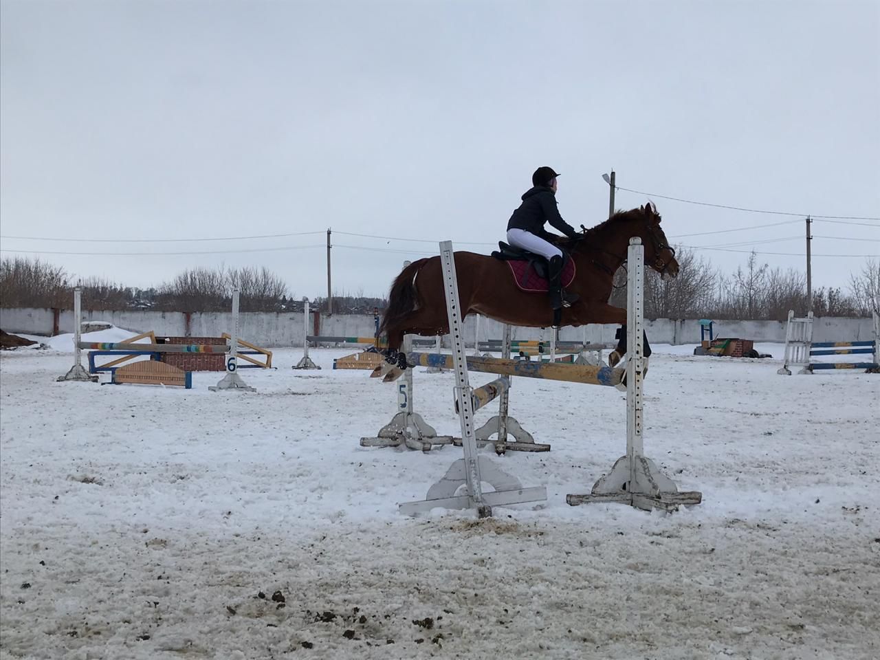 В Менделеевске состоялись соревнования по конному спорту