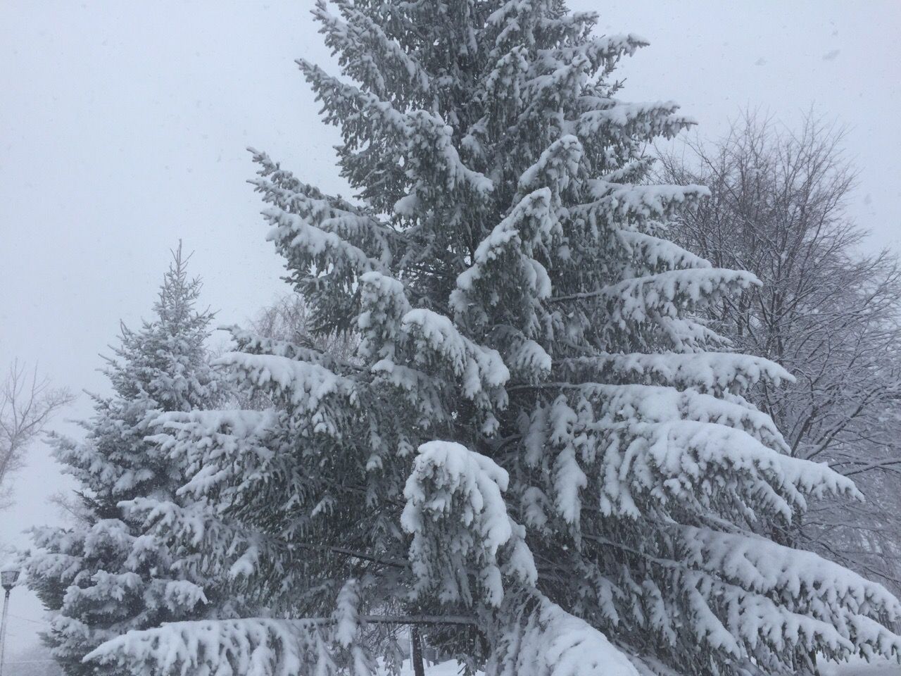 Зима вернулась в Менделеевск