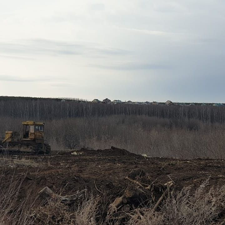 В Менделеевске ликвидировали несанкционированную свалку