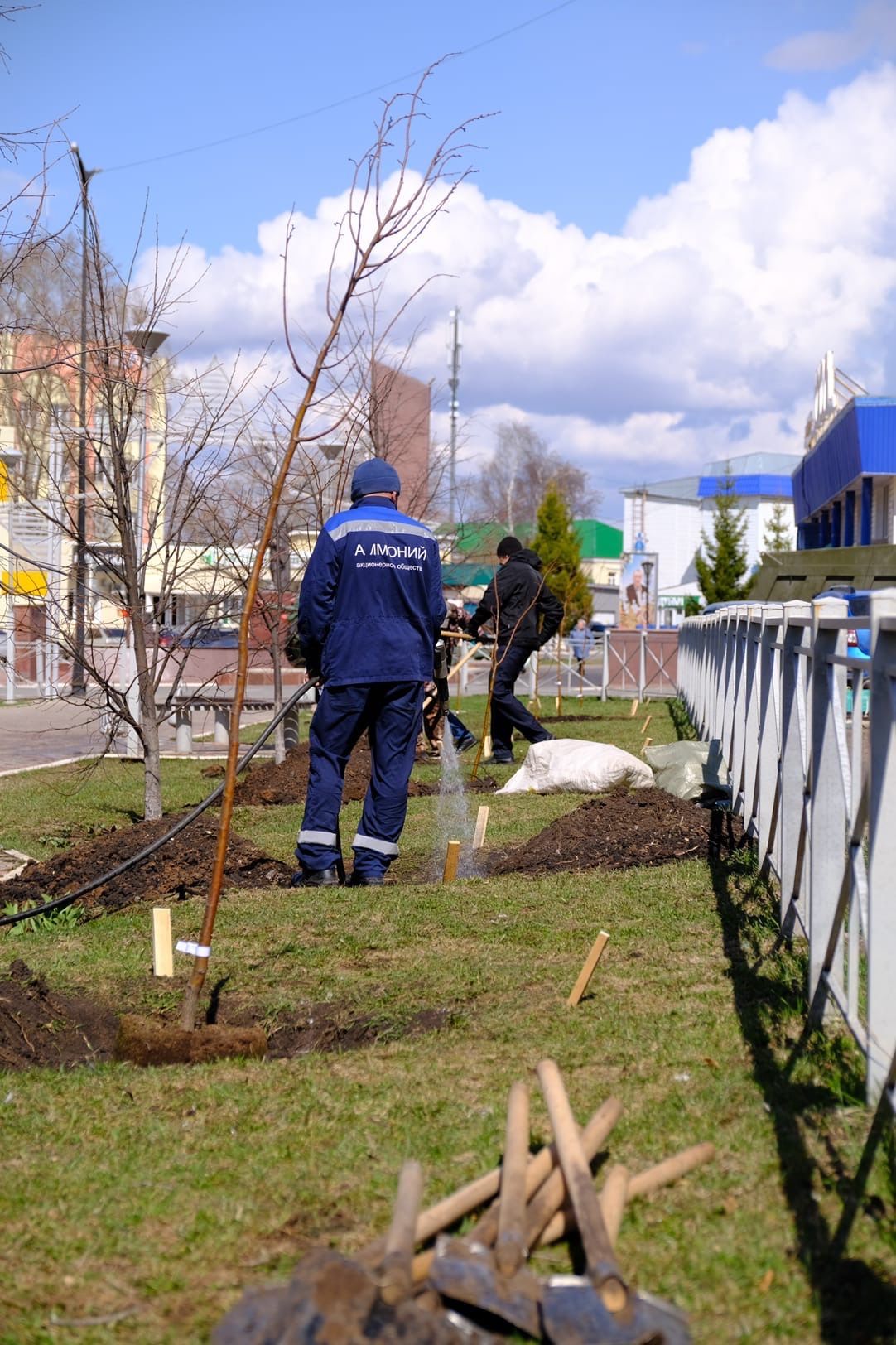 В Менделеевске посадили 80 саженцев лип