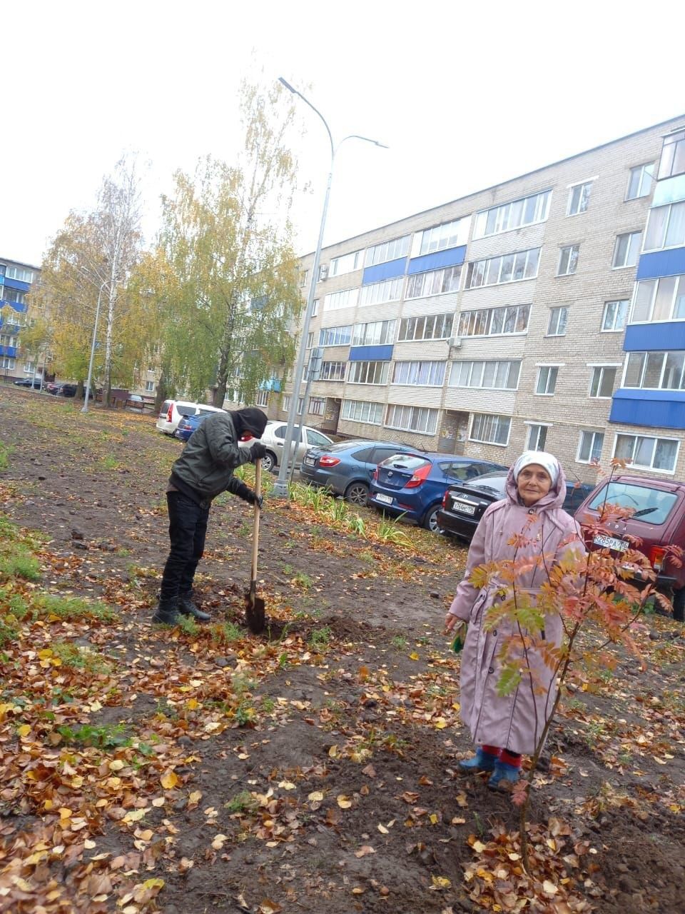 В Менделеевске активно ведется осенняя посадка деревьев