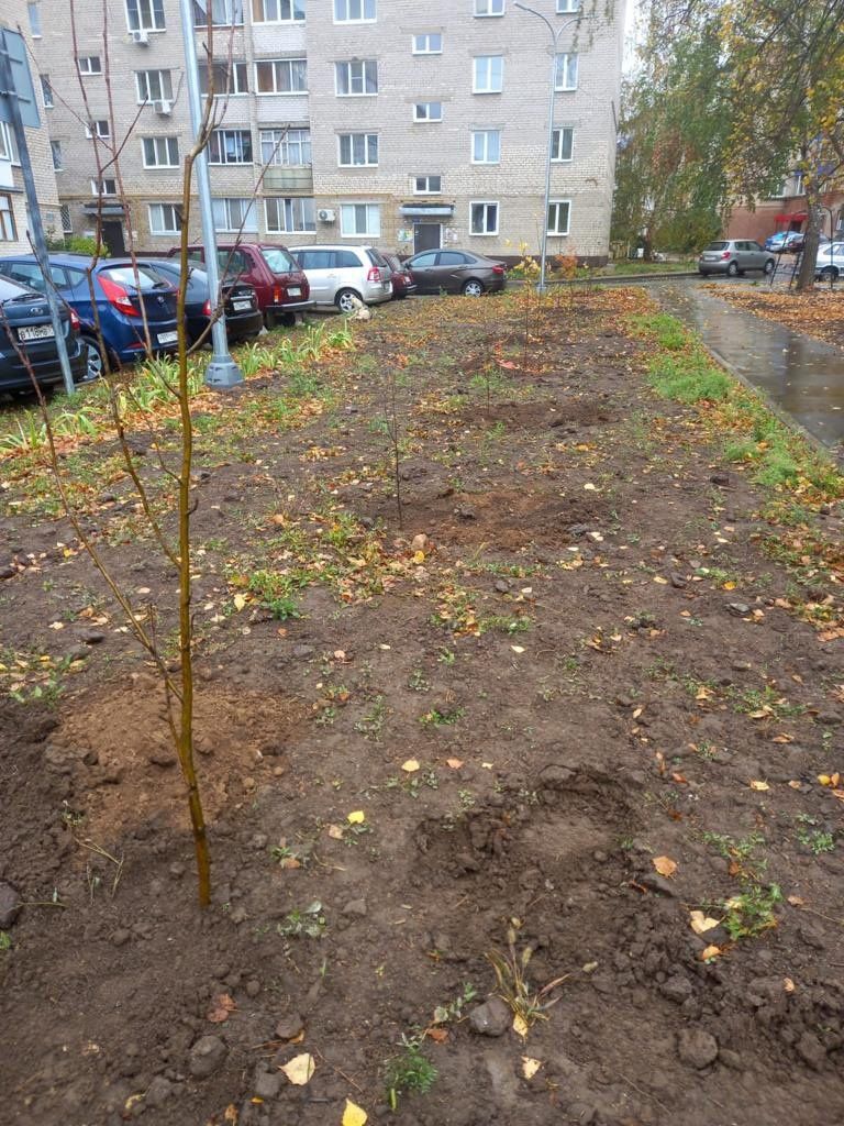 В Менделеевске активно ведется осенняя посадка деревьев