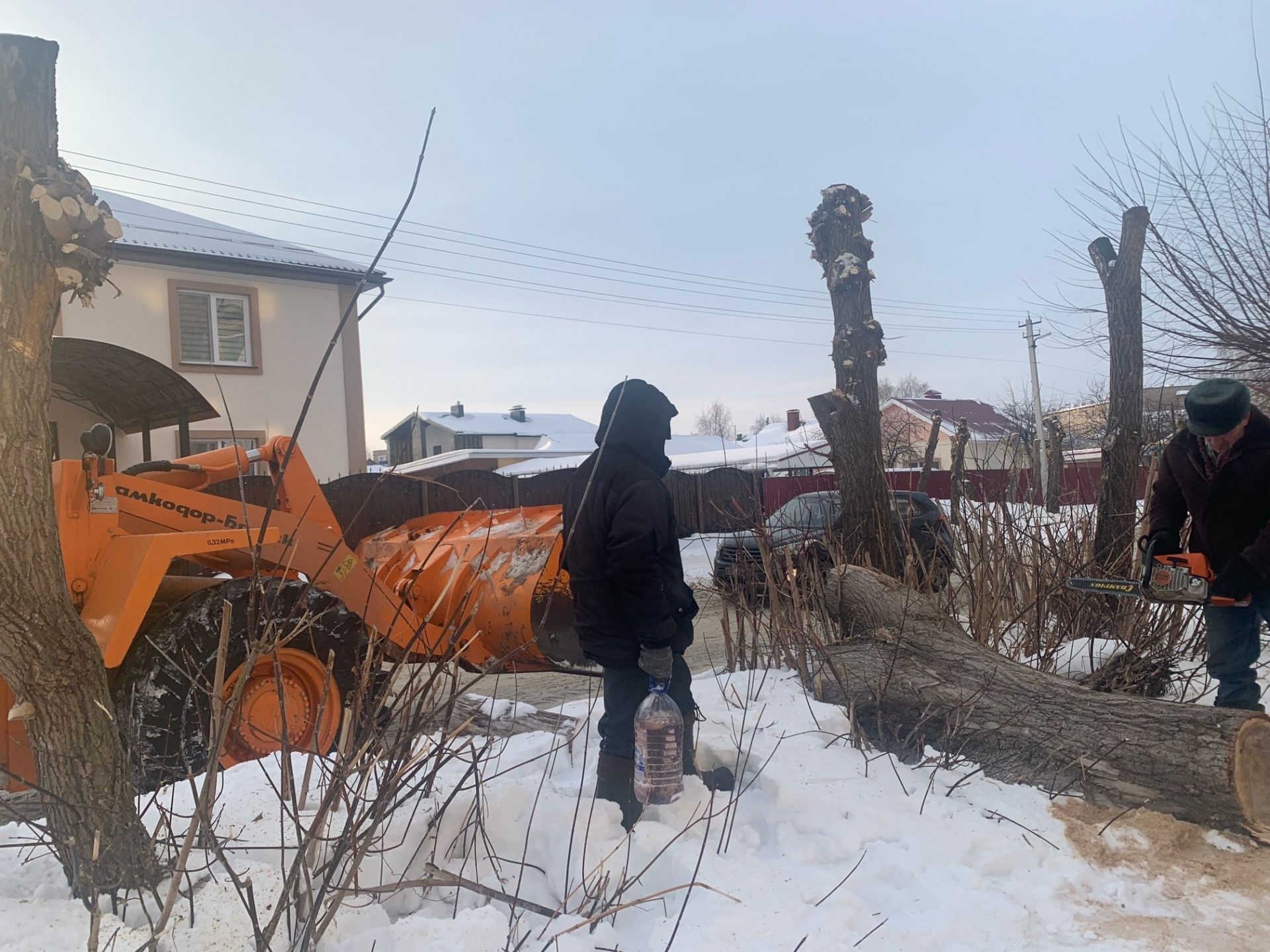 В Менделеевске началась санитарная обрезка деревьев