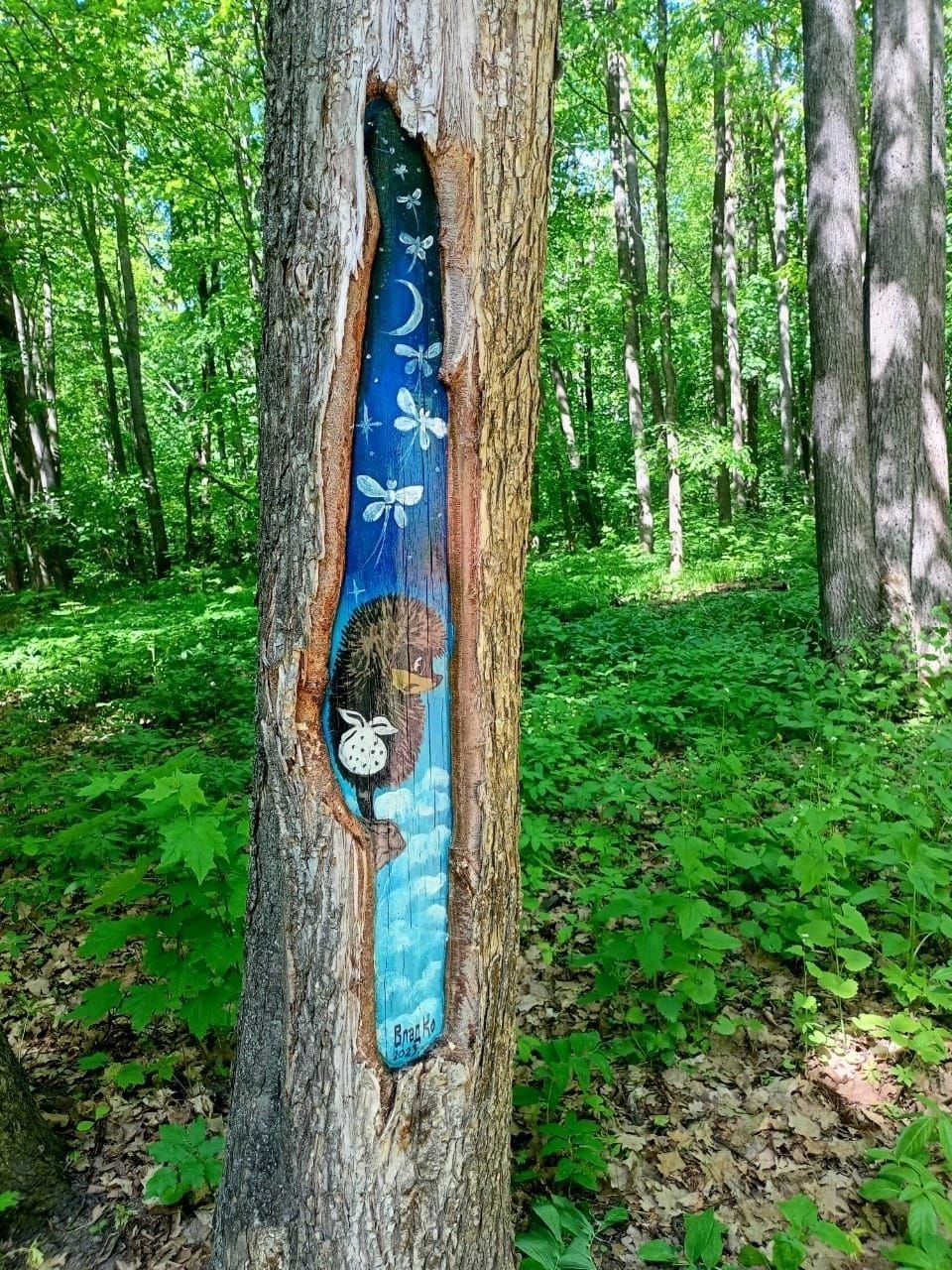 В одном из лесов Татарстана деревья разрисовали  необычным методом