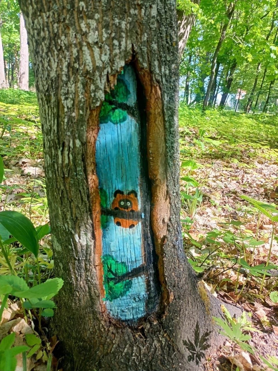 В одном из лесов Татарстана деревья разрисовали  необычным методом