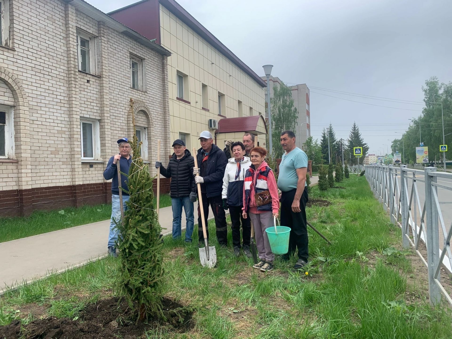 Улица Менделеевска пополнилась зелёными насаждениями