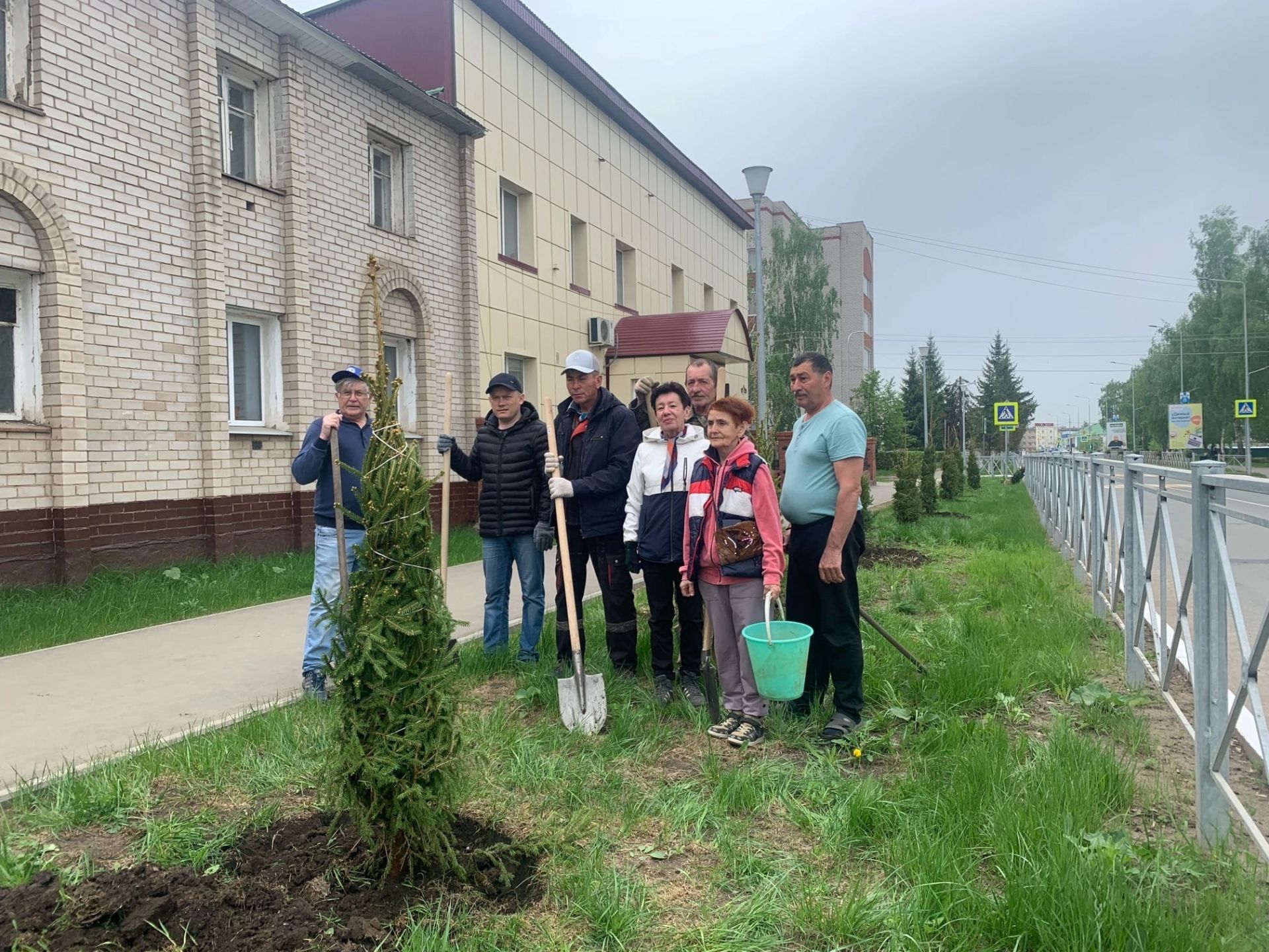 Улица Менделеевска пополнилась зелёными насаждениями