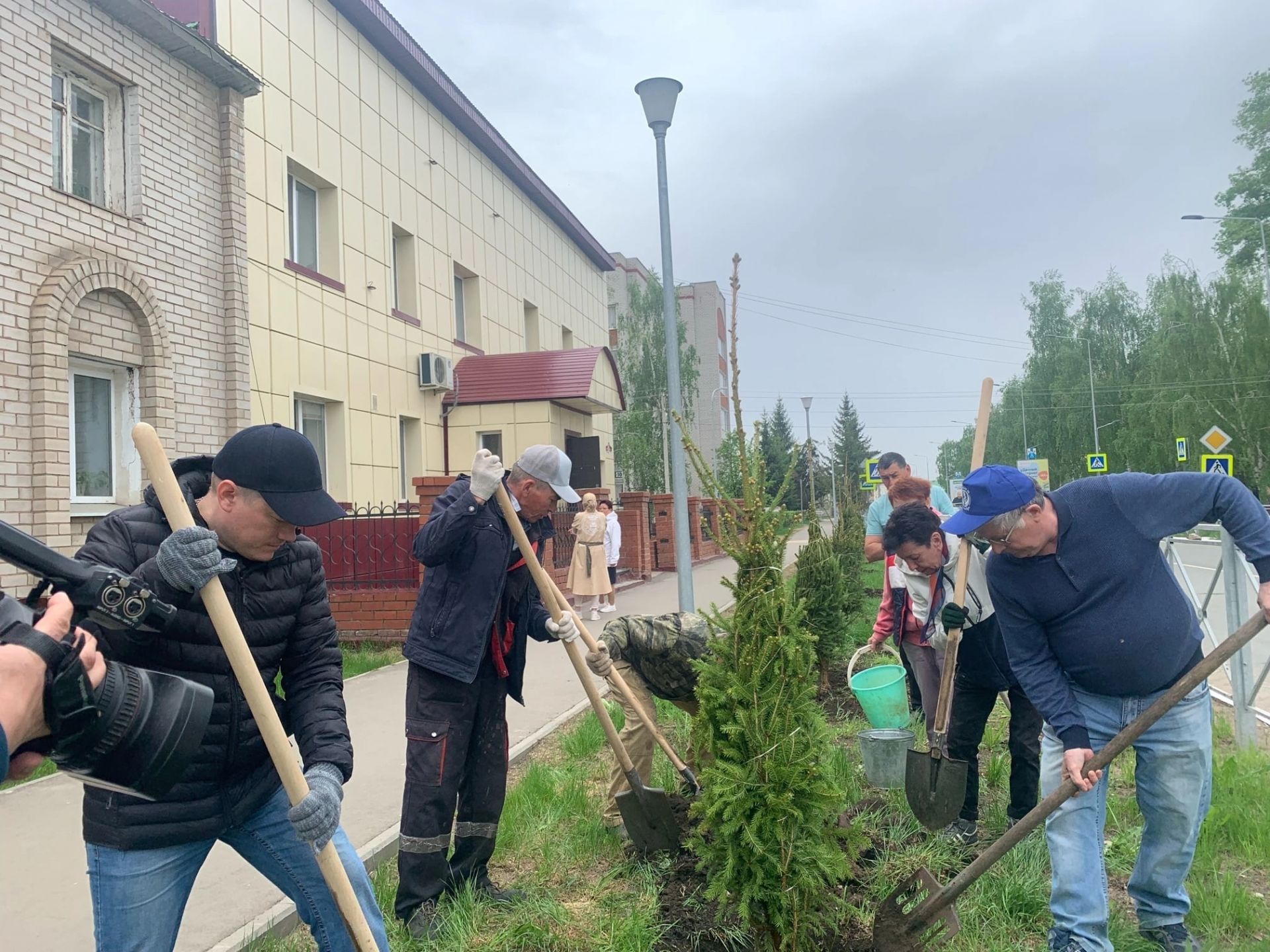 Улица Менделеевска пополнилась зелёными насаждениями