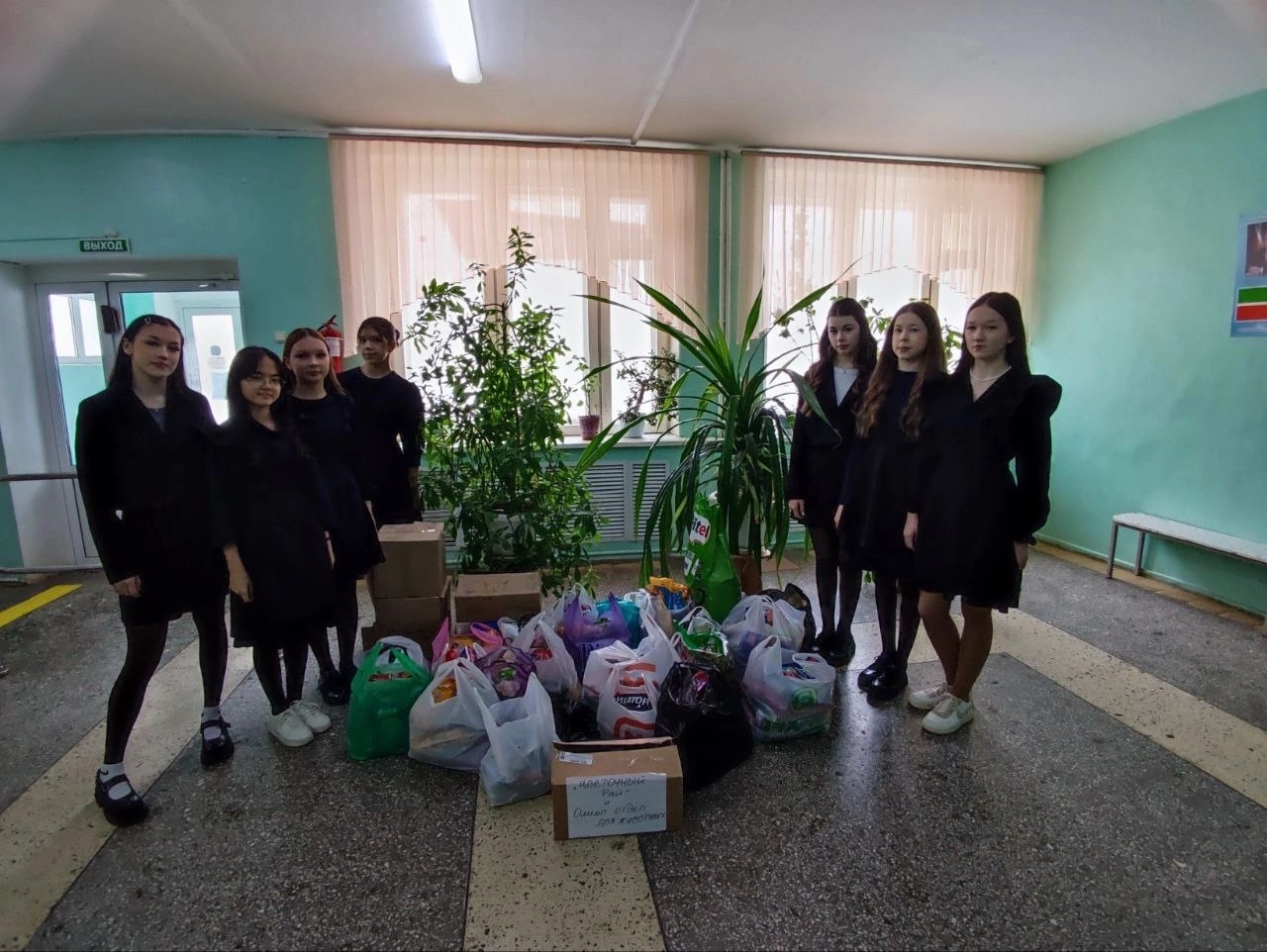 Ученики из Менделеевска организовали сбор кормов для бездомных животных