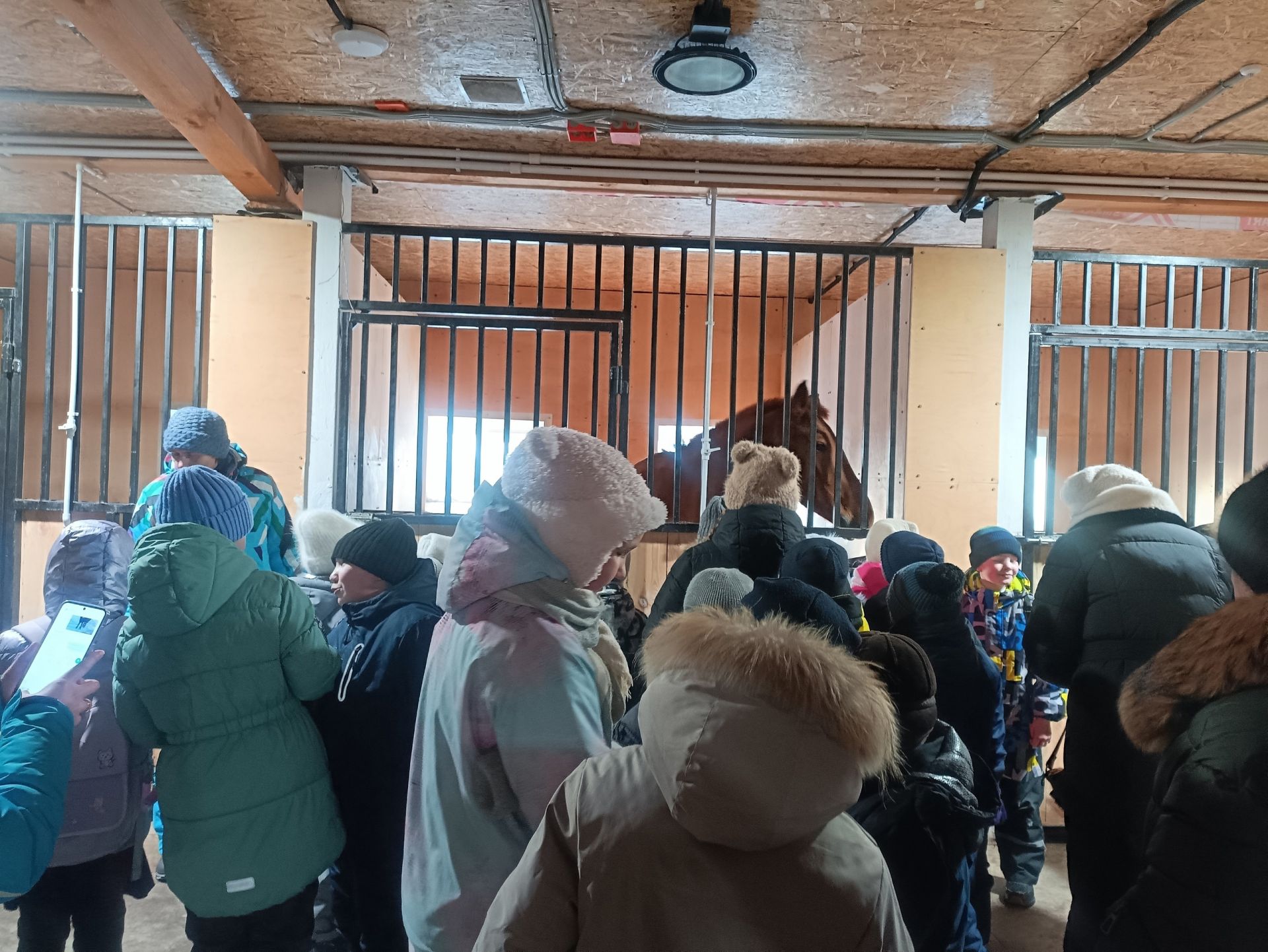 Новое досуговое место в Менделеевске набирает популярность