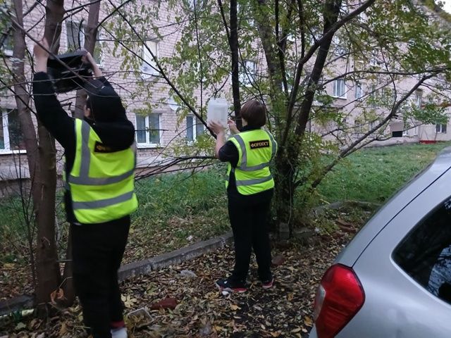 Помощь птицам зимой: жители Менделеевска обустроили кормушки и скворечники
