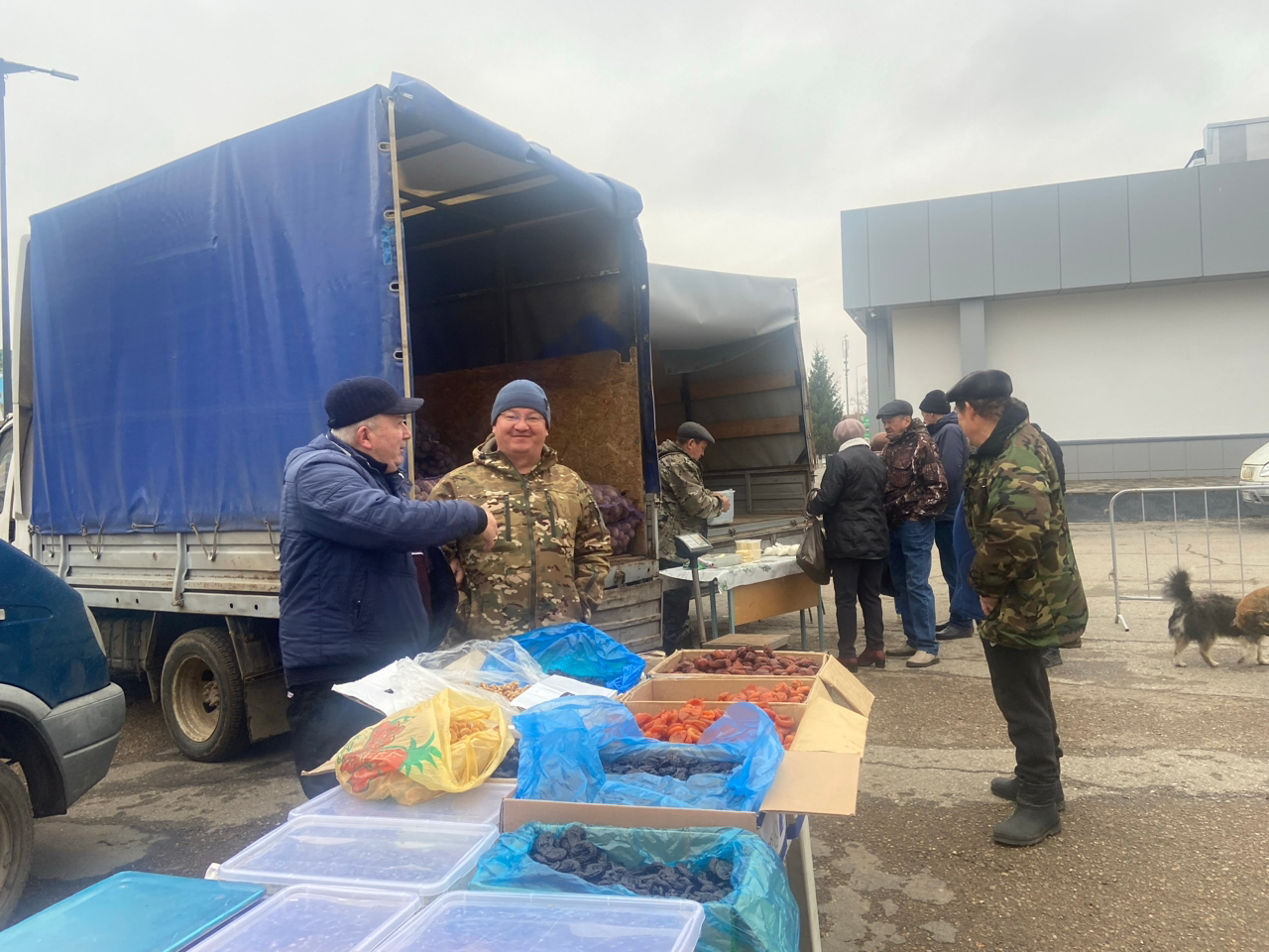 В Менделеевске продолжаются сельхозярмарки