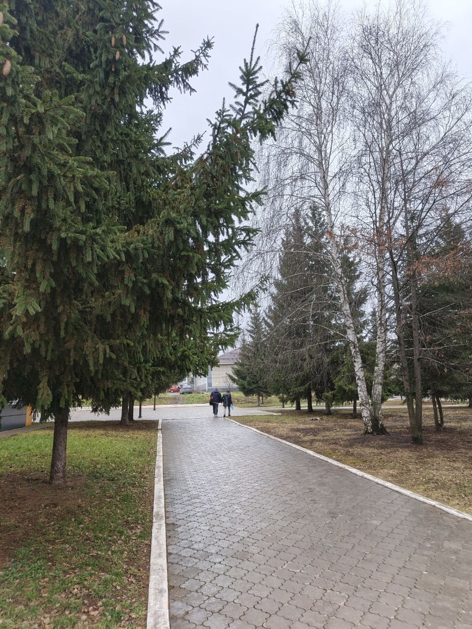 1 декабря в Менделеевске ожидаются небольшие осадки