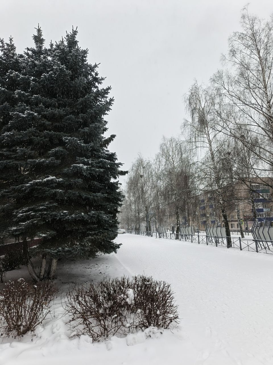 15 декабря прогнозируются метель и гололёд