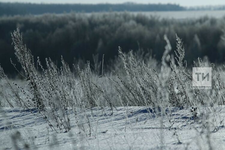 15 декабря — день пророка Аввакума: традиции и погодные приметы