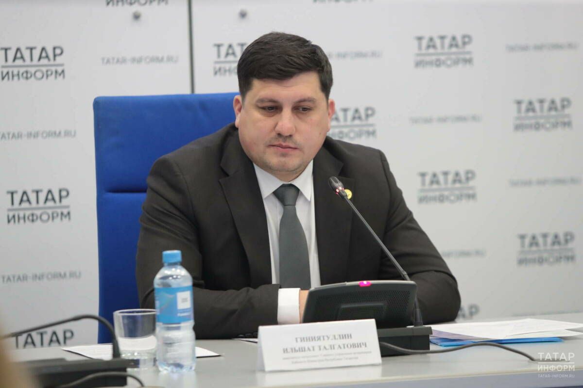 Татарстан ужесточает контроль за бездомными собаками после череды нападений