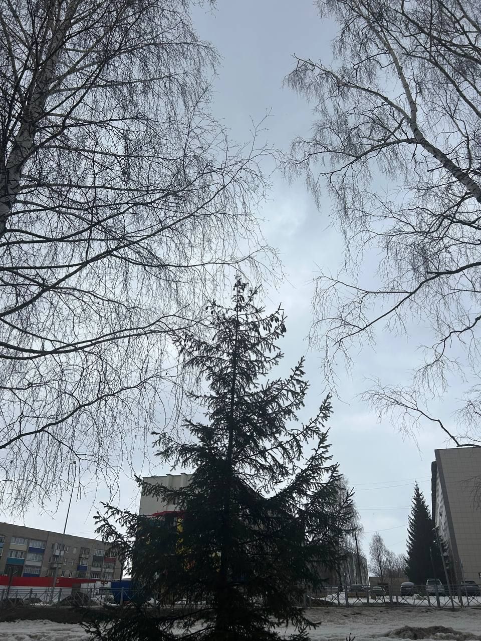 21 марта в Менделеевске ожидается облачная погода с прояснениями