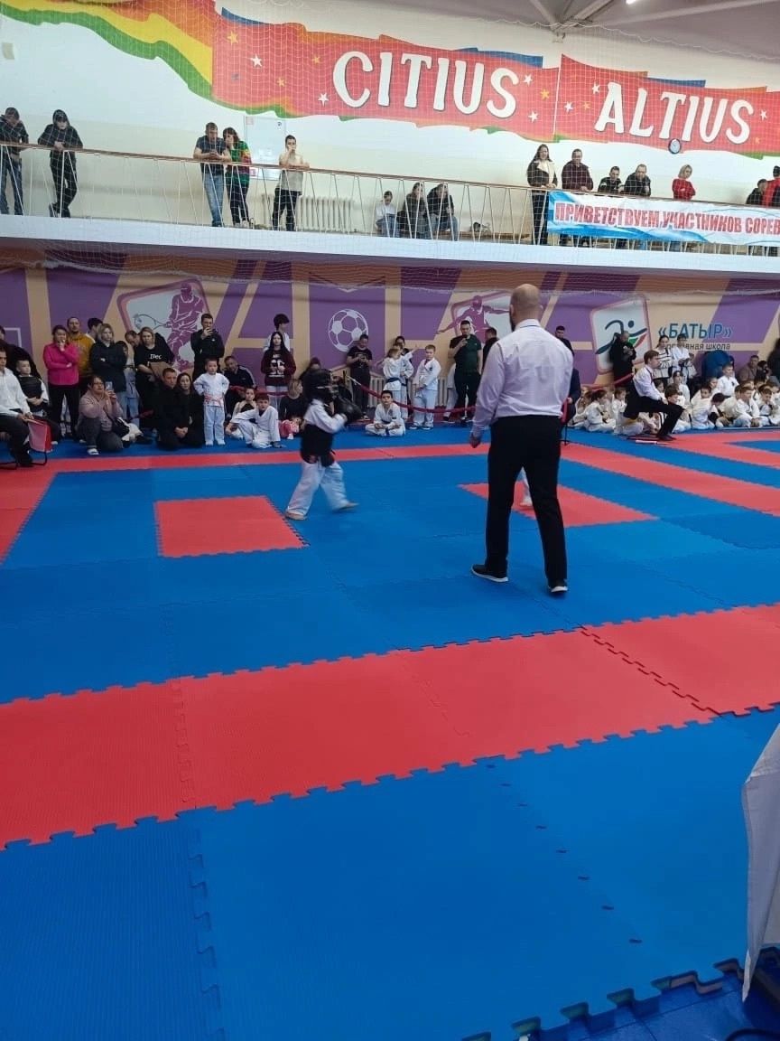 Команда Менделеевска заняла бронзу в Первенстве и Чемпионате РТ по восточному боевому единоборству