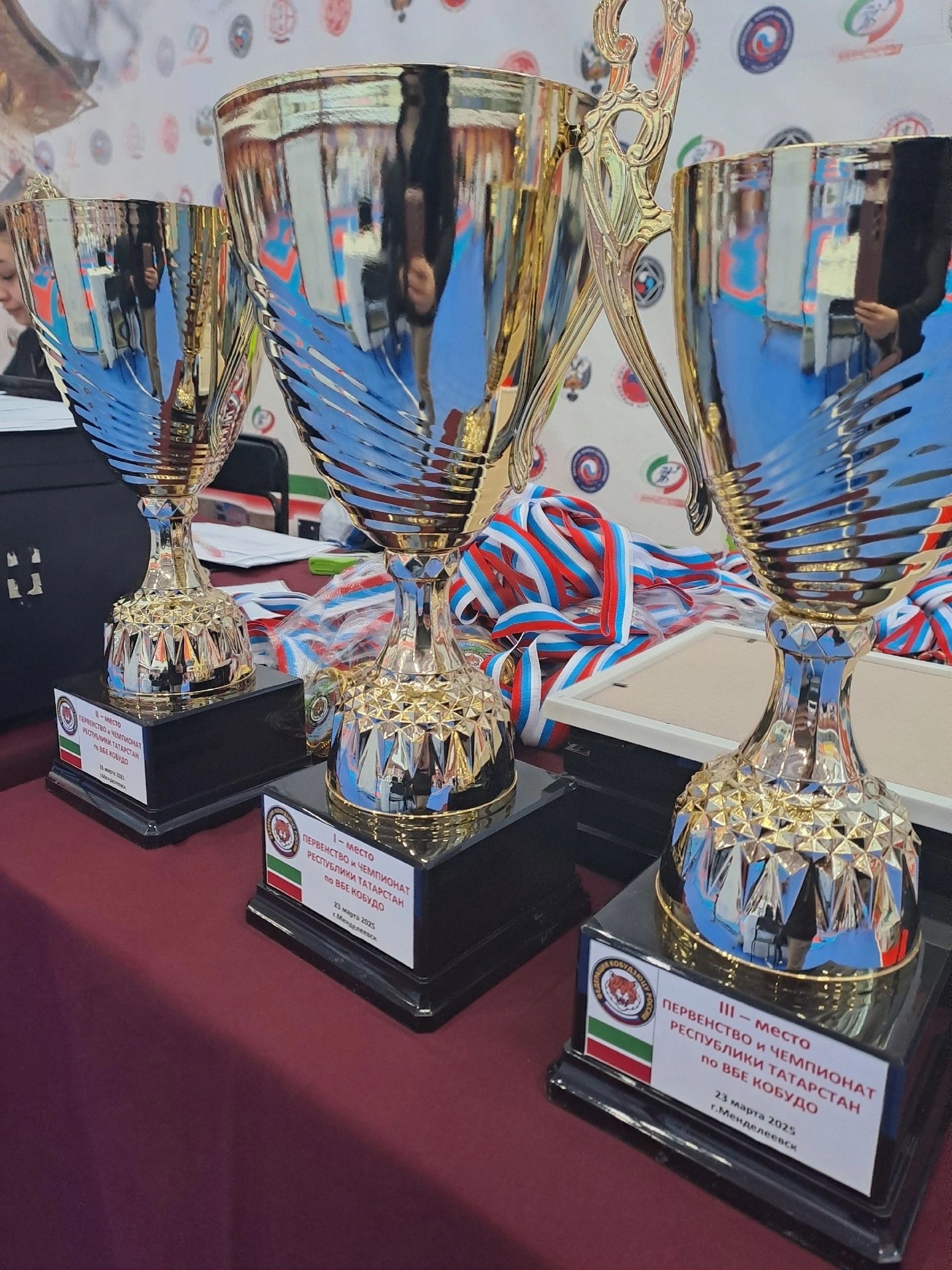 Команда Менделеевска заняла бронзу в Первенстве и Чемпионате РТ по восточному боевому единоборству