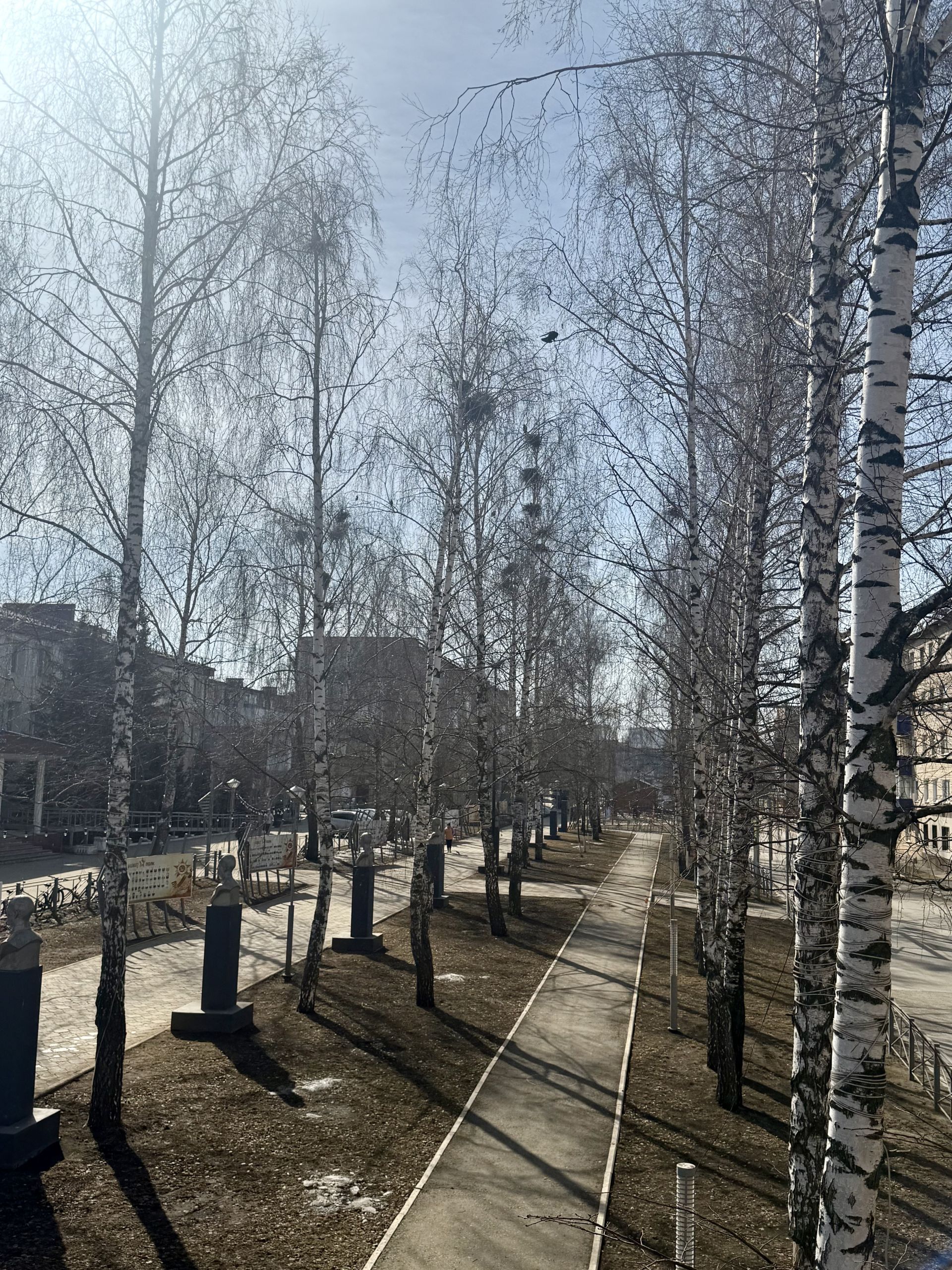 Коллектив «Менделеевских новостей» в Международный день птиц развесил патриотические скворечники на аллее Героев
