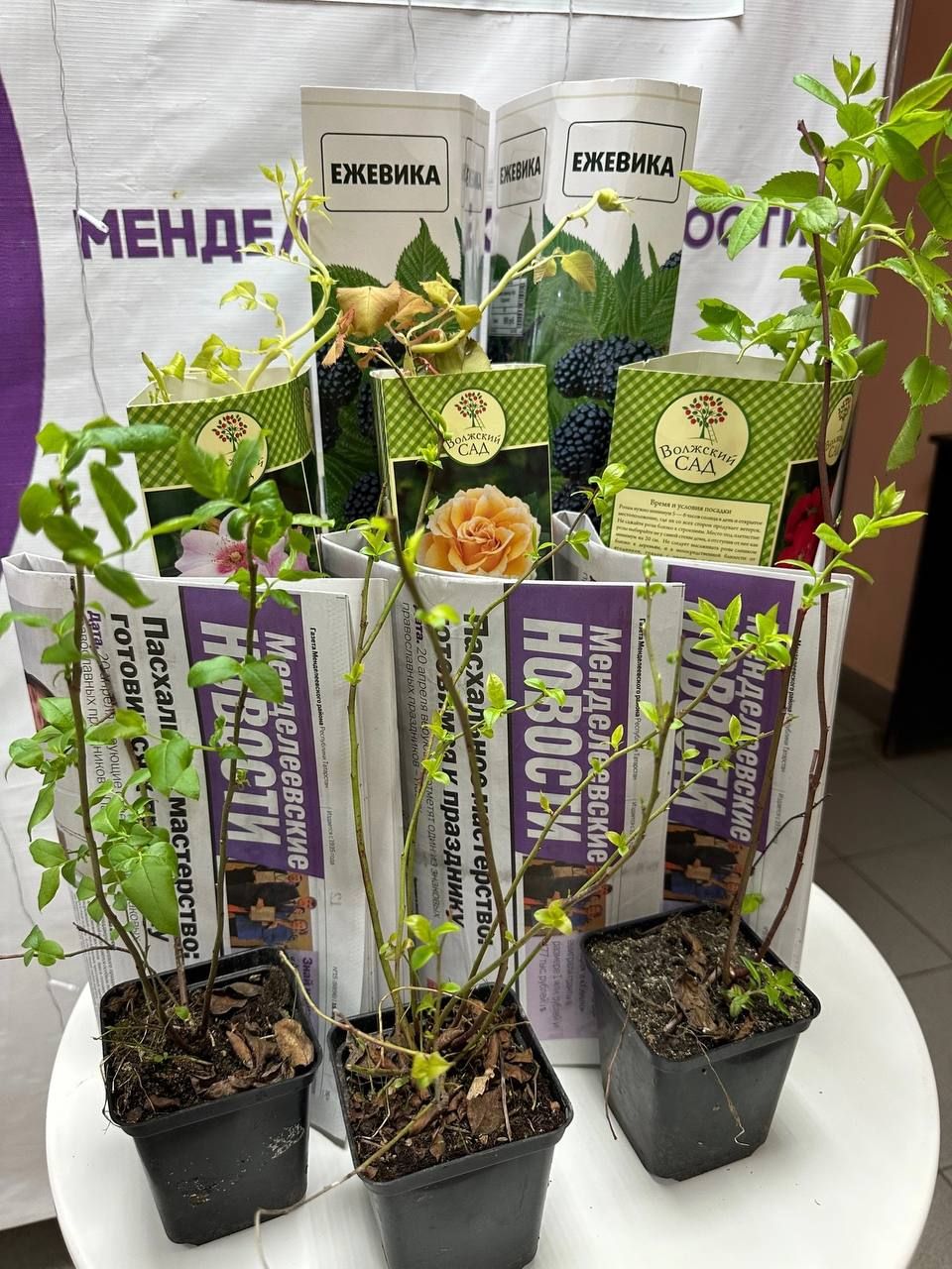 Сегодня в  «Менделеевских новостях» проходит день подписчика