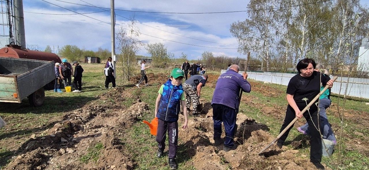 Патриотическая акция «Сад памяти» прошла в Татарских Челнах