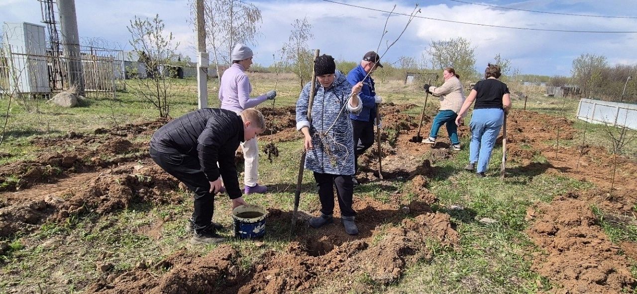 Патриотическая акция «Сад памяти» прошла в Татарских Челнах