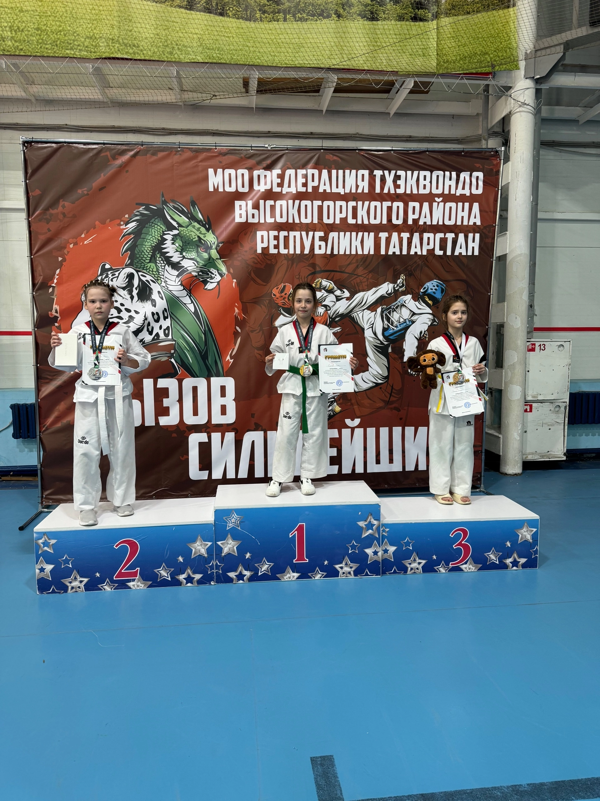 Менделеевские тхэквондисты заняли первое общекомандное место в турнире «Вызов сильнейших»