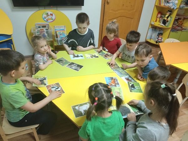 В Менделеевском районе стартовала 7-я неделя республиканского конкурса «Эковесна 2025» — «ЗооЗабота»