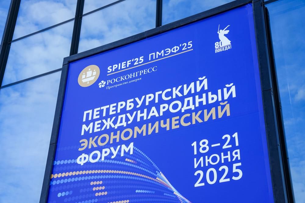 Альфия Когогина на ПМЭФ: Направить 30 млрд на перспективные промпарки для рывка МСП